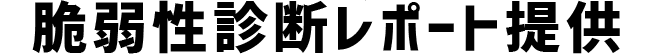 脆弱性診断レポート提供